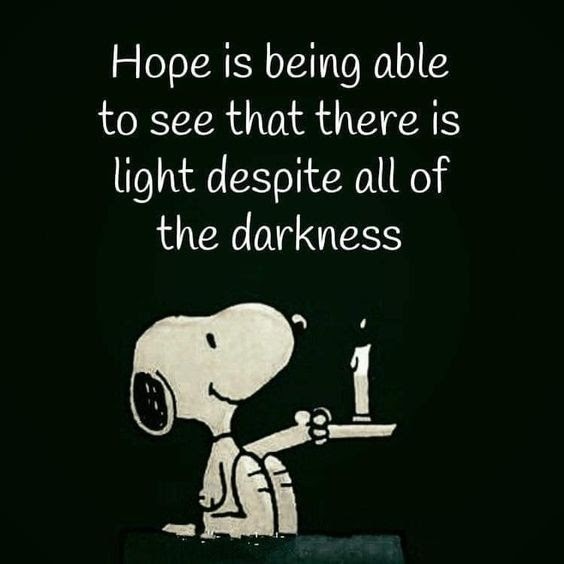 Jack Rudy tweet media