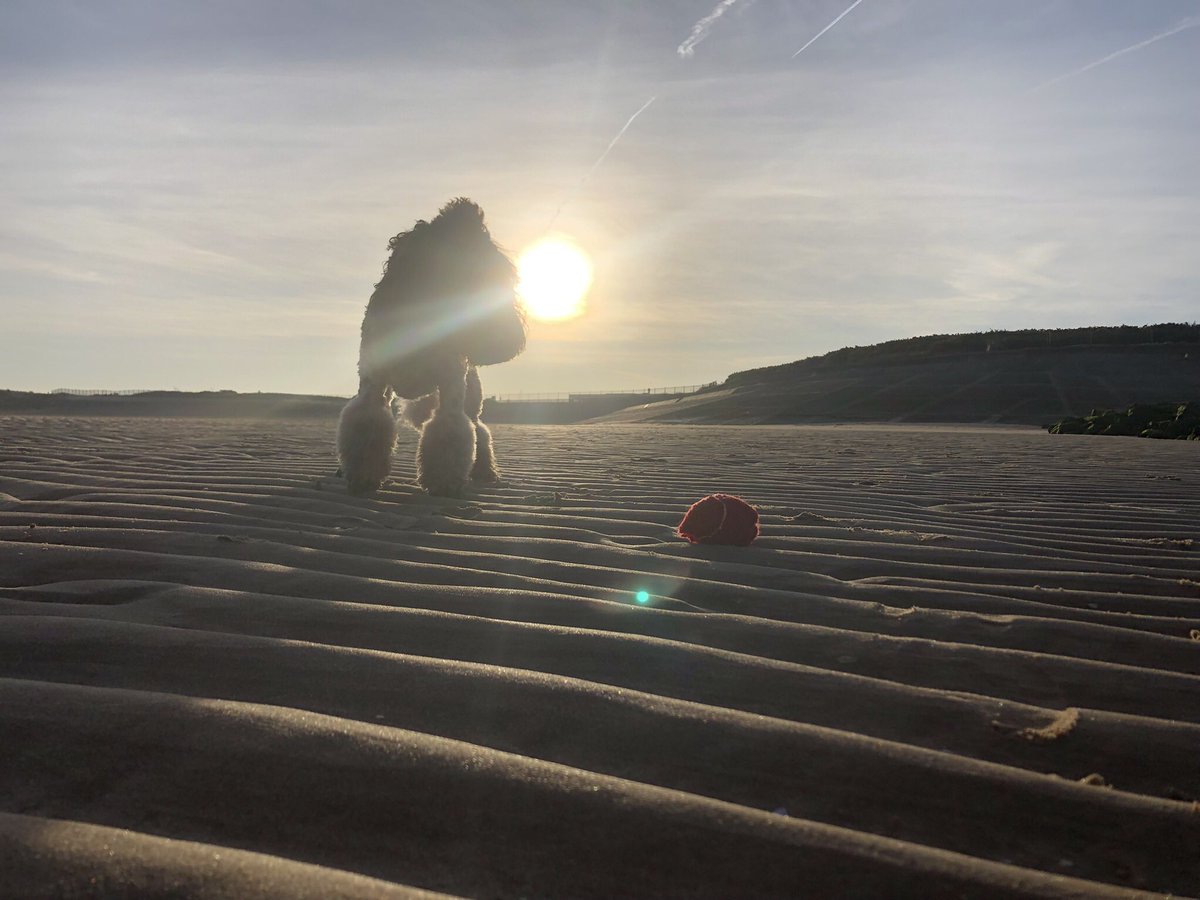 Ball = Life #AniAdventures