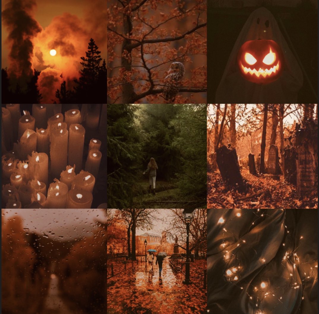 WITCHY STRANGER THINGS 🍂✨

When the sentient forest she’s dreamed of her whole life starts stealing girls behind her new (maybe magical) school, Clover Dust is left with one choice: stop the forest by becoming its next target, or lose her first & only chance at home. #WIPfeast