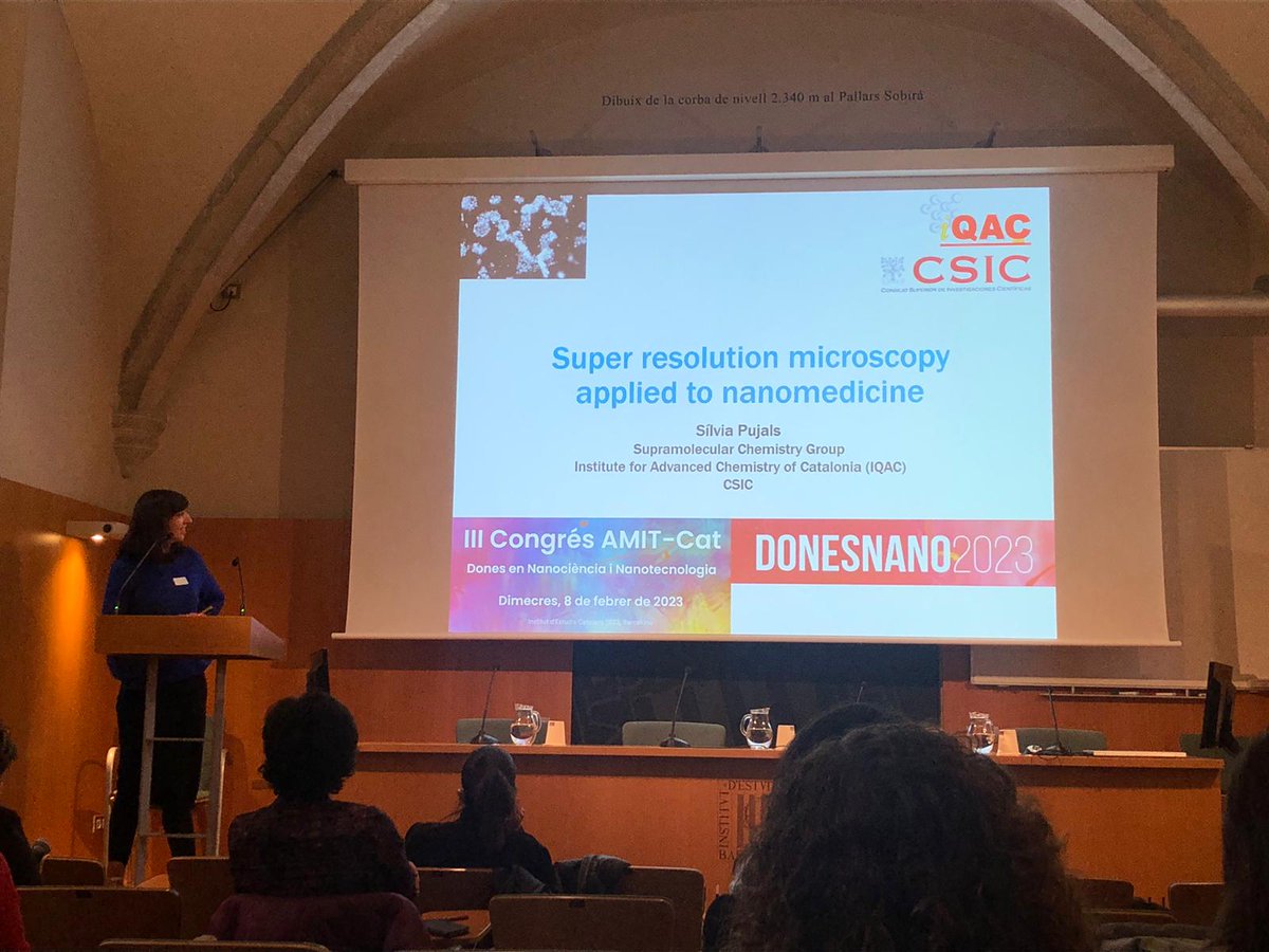 Great networking day at #donesnano2023! Thank you @amit_cat and @iec the opportunity of presenting our research @IQAC_CSIC