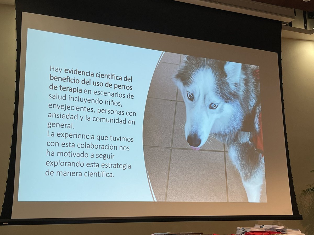 marco4357's tweet photo. El centro de vacunación del @rcmupr, para ayudar a vacunar niños usó una estrategia única, usando perritos de terapia para ayudar con el proceso. Esto ayudó a calmar a nuestros niños. Fue el único centro que lo hizo en PR. https://t.co/DN53czWtnl