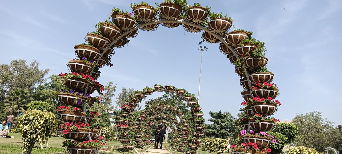 chellaiahndmc's tweet photo. Mandi House Roundabout in NDMC area with new look #moud #mofh #gardening #CityLives #PMOIndia #Ndmc https://t.co/EVw8oeUT7C
