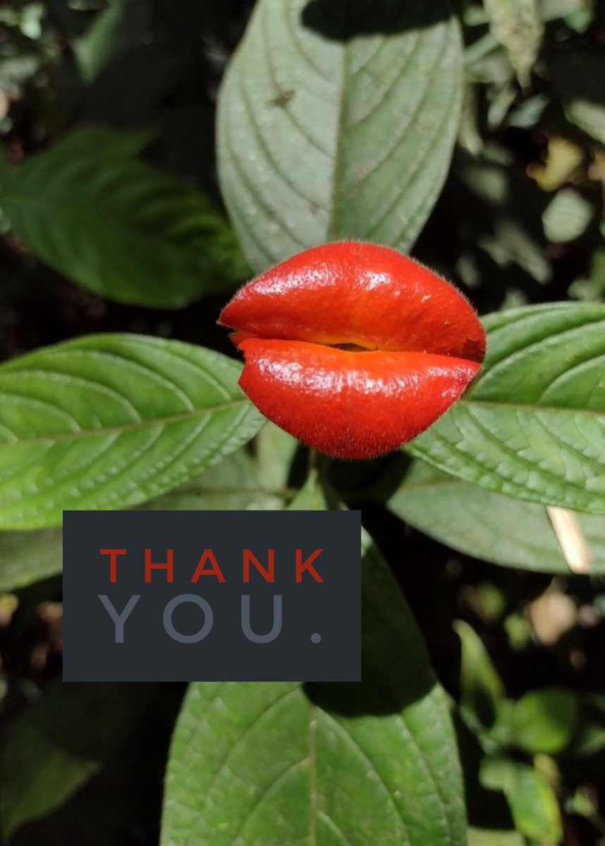 GangsterFine's tweet image. You have to check out Gardyn! It grows fresh herbs, veggies and fruit in your home with almost no work. I love mine, I think you would love it too.
If you use my coupon - rfann86042 - you will get $125 off!
I get 💐20🪴seeds pods when you use #MYCode:
mygardyn.com/?coupon-code=r…