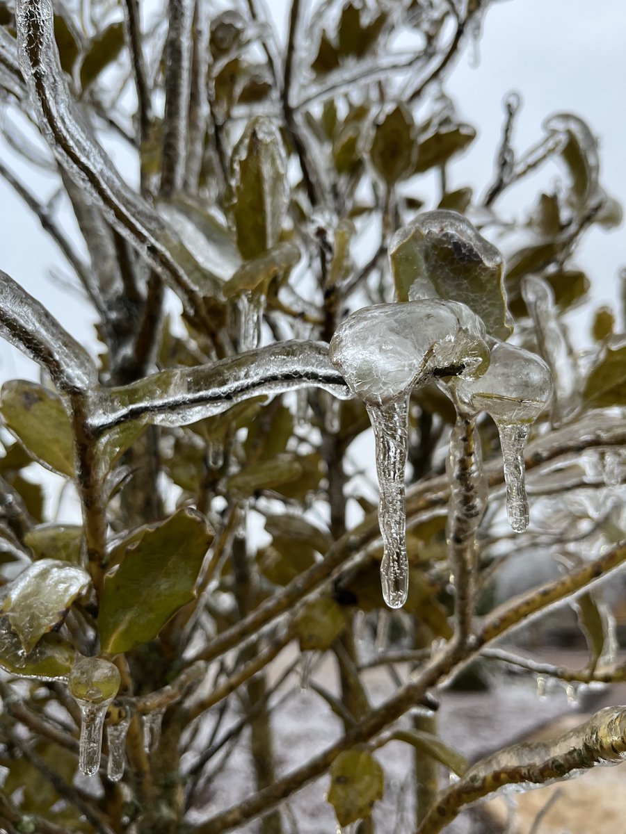 hatchlandscape's tweet photo. The maintenance cycle in commercial landscaping is never ending, at times dependent on labor, and forever at the mercy of the weather.

Read how our Commercial Maintenance team rolls with the punches despite unpredictable weather in the latest blog post at https://t.co/lYjGGFB7zI https://t.co/linTmwpU8x
