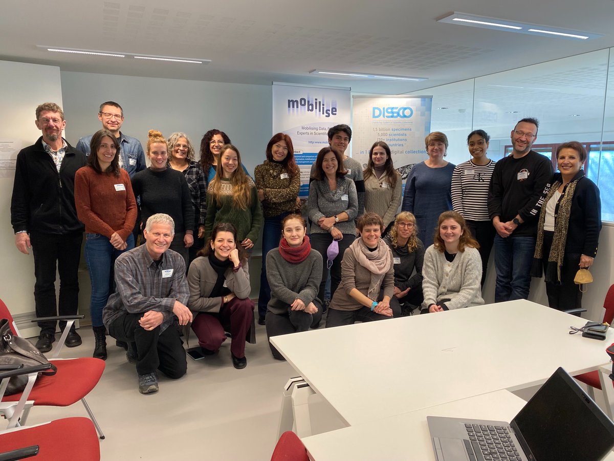 MOBILISE tweet media