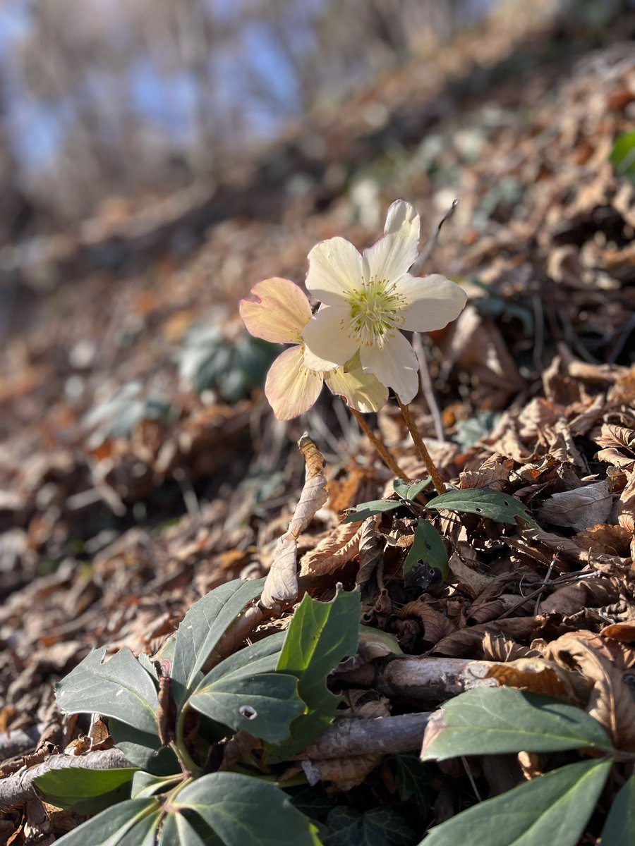 🇮🇹 part 9 nature is just 🔋🙏🏻