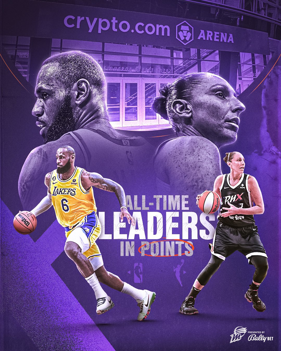 Diana clearance taurasi lebron