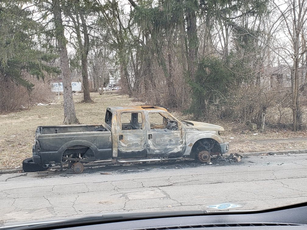 Laura P Ginn tweet media