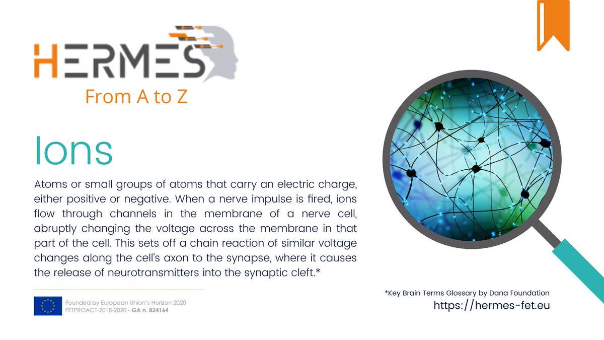HERMES-FET tweet media