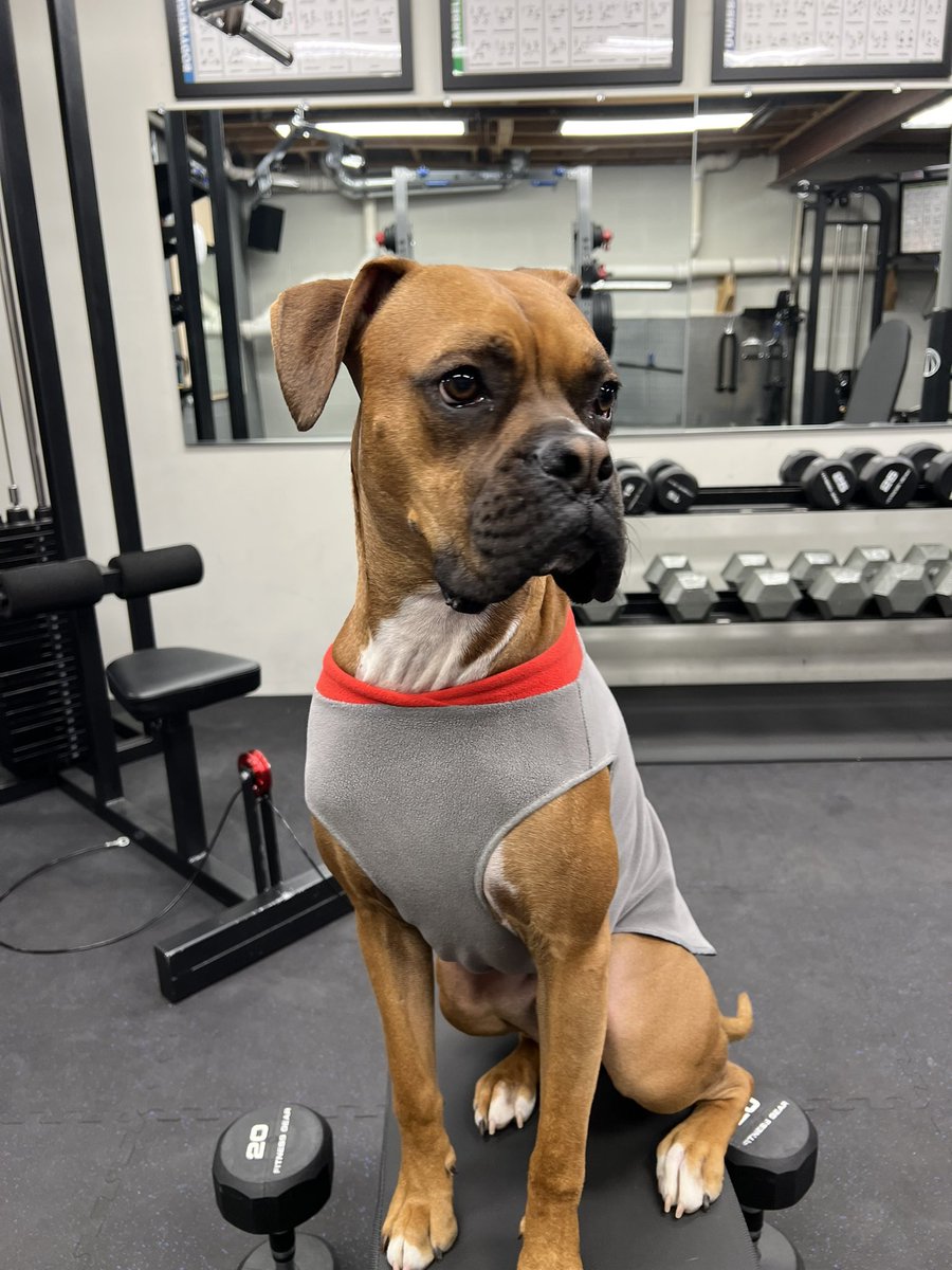 mama031805's tweet photo. My spotter today 🦴🦴🦴🏋🏻‍♀️💪🏻 https://t.co/CTPctqMCtZ