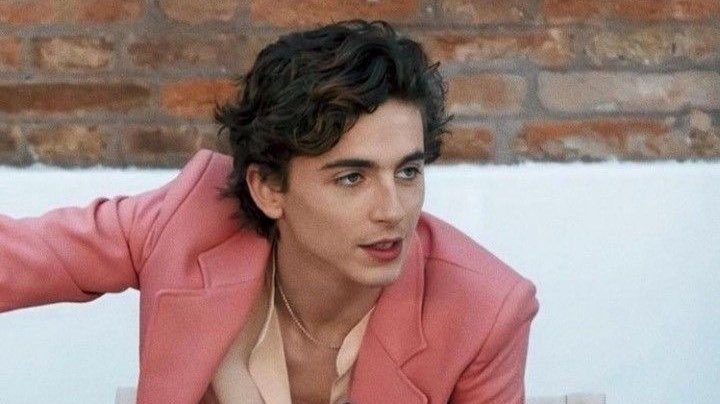kylieversac's tweet photo. cause of death: timothée chalamet in pink https://t.co/G1M9kIDloj