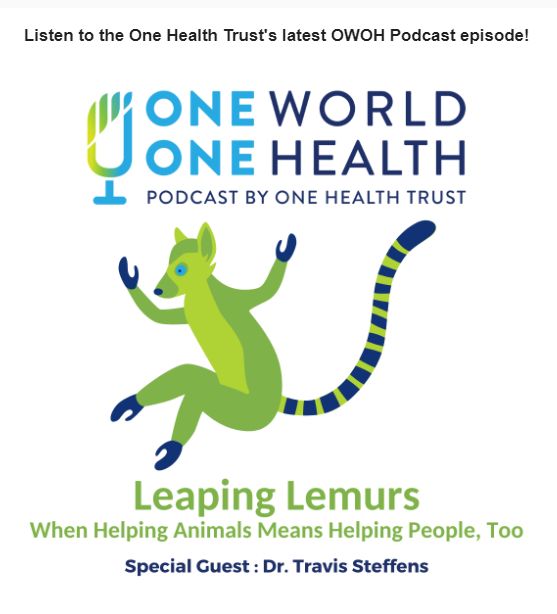 OneHealthUofG's tweet photo. Dr. Travis Steffens @GuelphSOAN stars in the latest One Health Trust, One World One Health podcast with @maggiemfox!: https://t.co/lixprP33wY

She spoke with Travis about his work to save Madagascar's lemurs and improve the lives of people who live with and near them.
#OneHealth https://t.co/AgO2hfCUNr