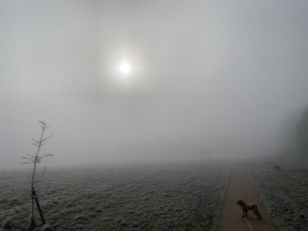 Cabbage Hill This Morning