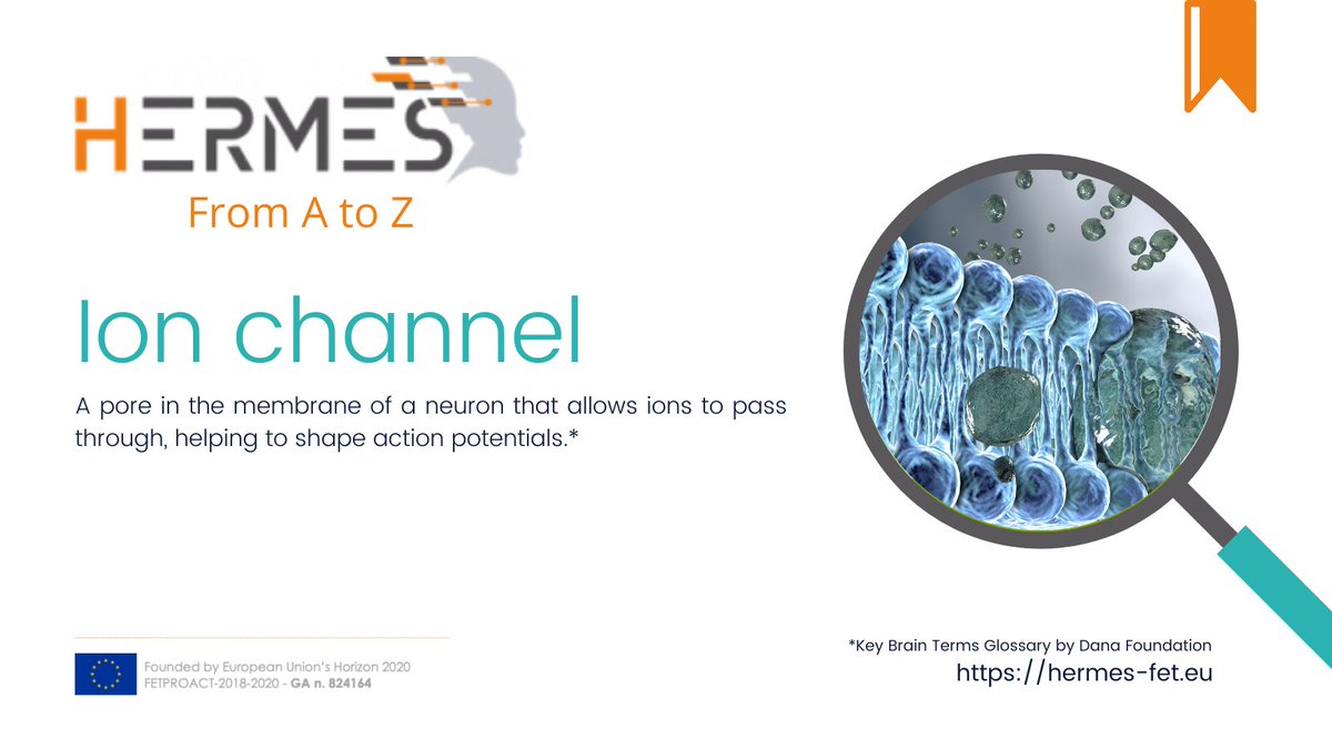 HERMES-FET tweet media