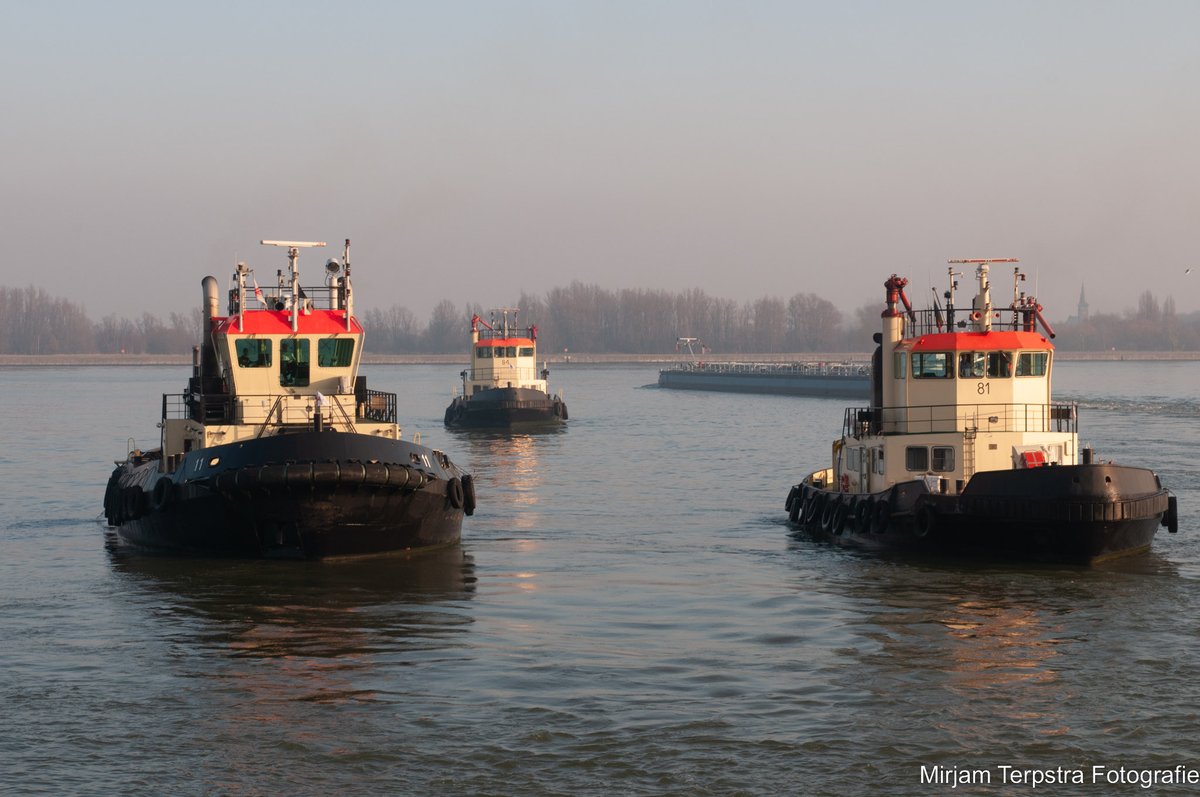 MirjamTerpstra1's tweet photo. #tugs #Number11, #Number84 and #Number81 seen at #Westerschelde #PortofAntwerp #PortOfAntwerpBruges #sailing #maritime #shipsinpics #ships #shipspotting #adventure #picture #river #Scheldt #Haven #Antwerp #shipphotography #seafarers #humanatsea
#tug #tuglife @TUGSPOTTERS https://t.co/7pU8HadfW8