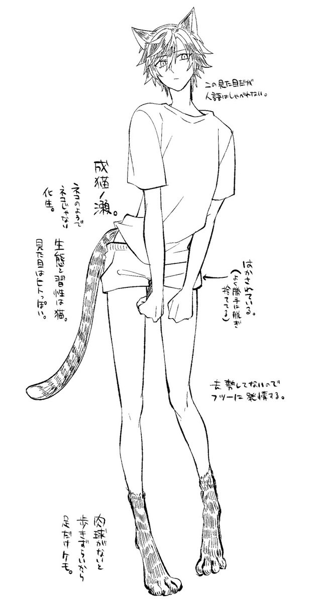 オトナネコノ瀬の蛇足。 