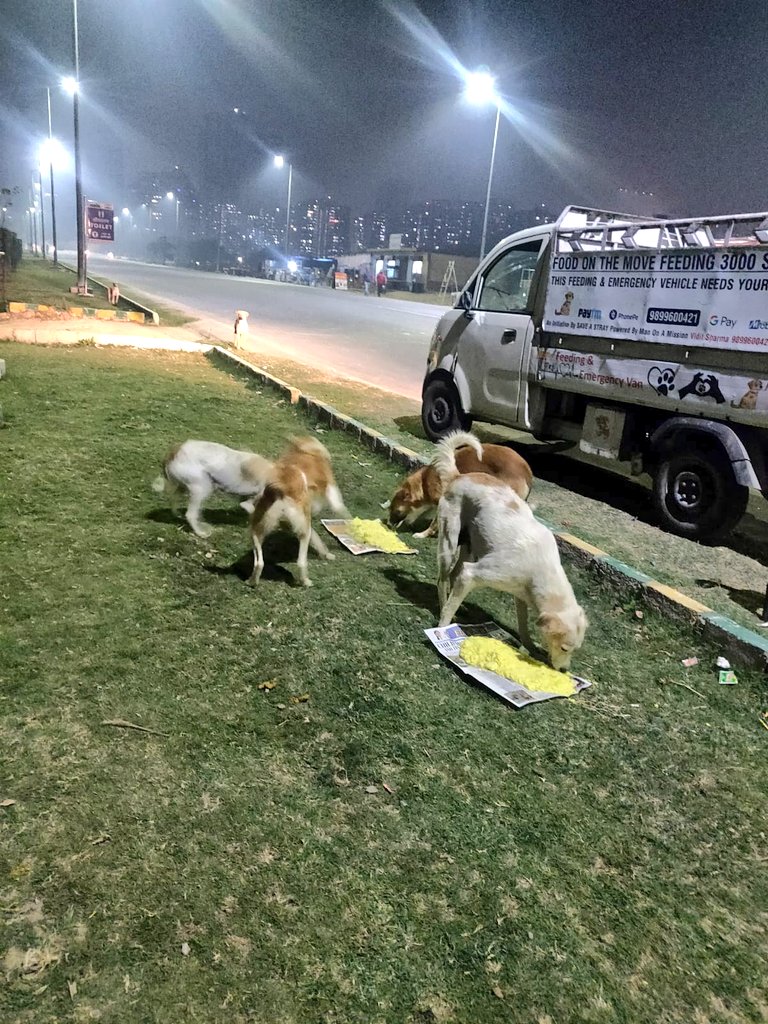 TheViditsharma's tweet photo. Feeding Visuals ❤️

#Dogs
#LetsDoMore https://t.co/bGMUX6MasV