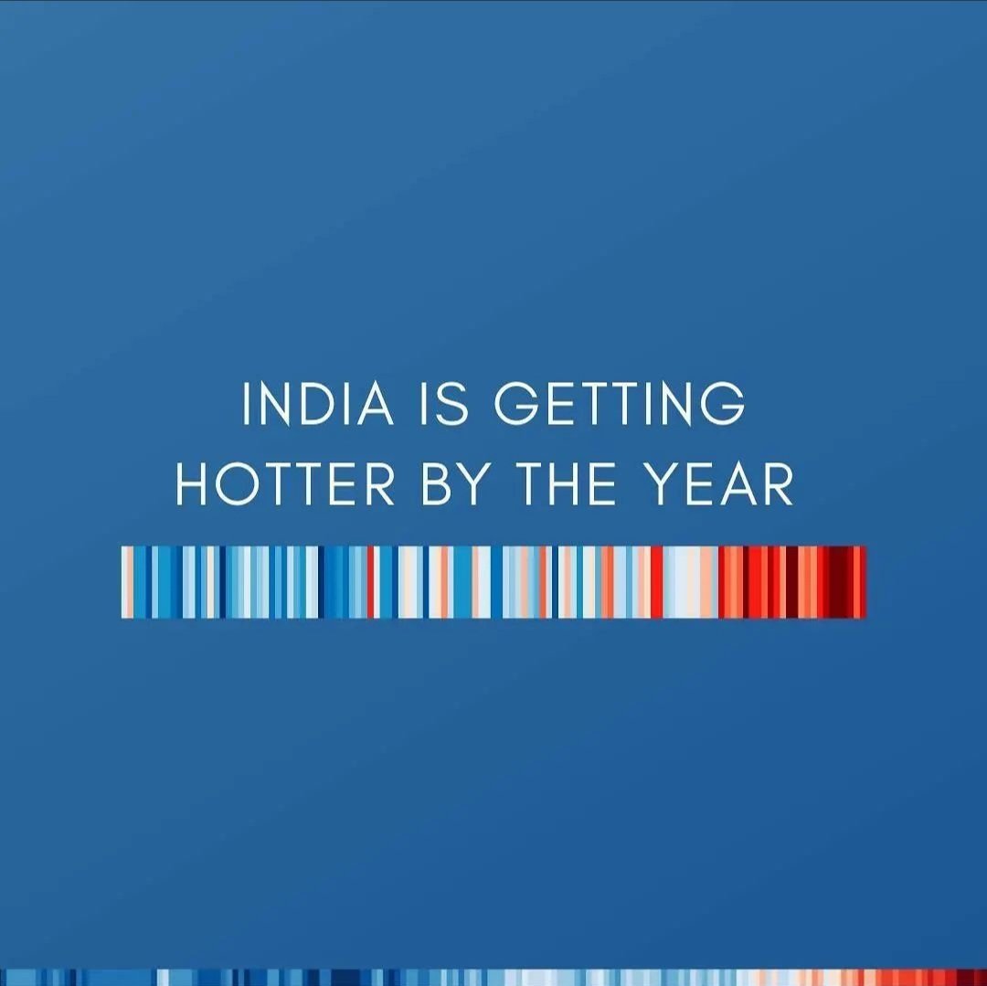 WePlant Foundation tweet media