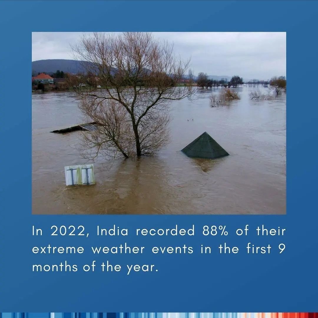 WePlant Foundation tweet media