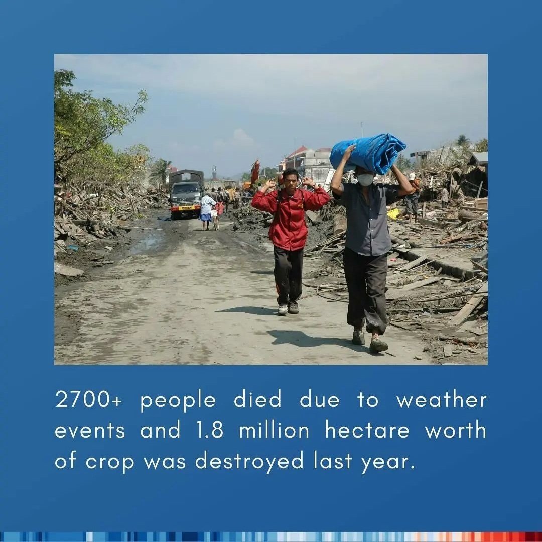 WePlant Foundation tweet media