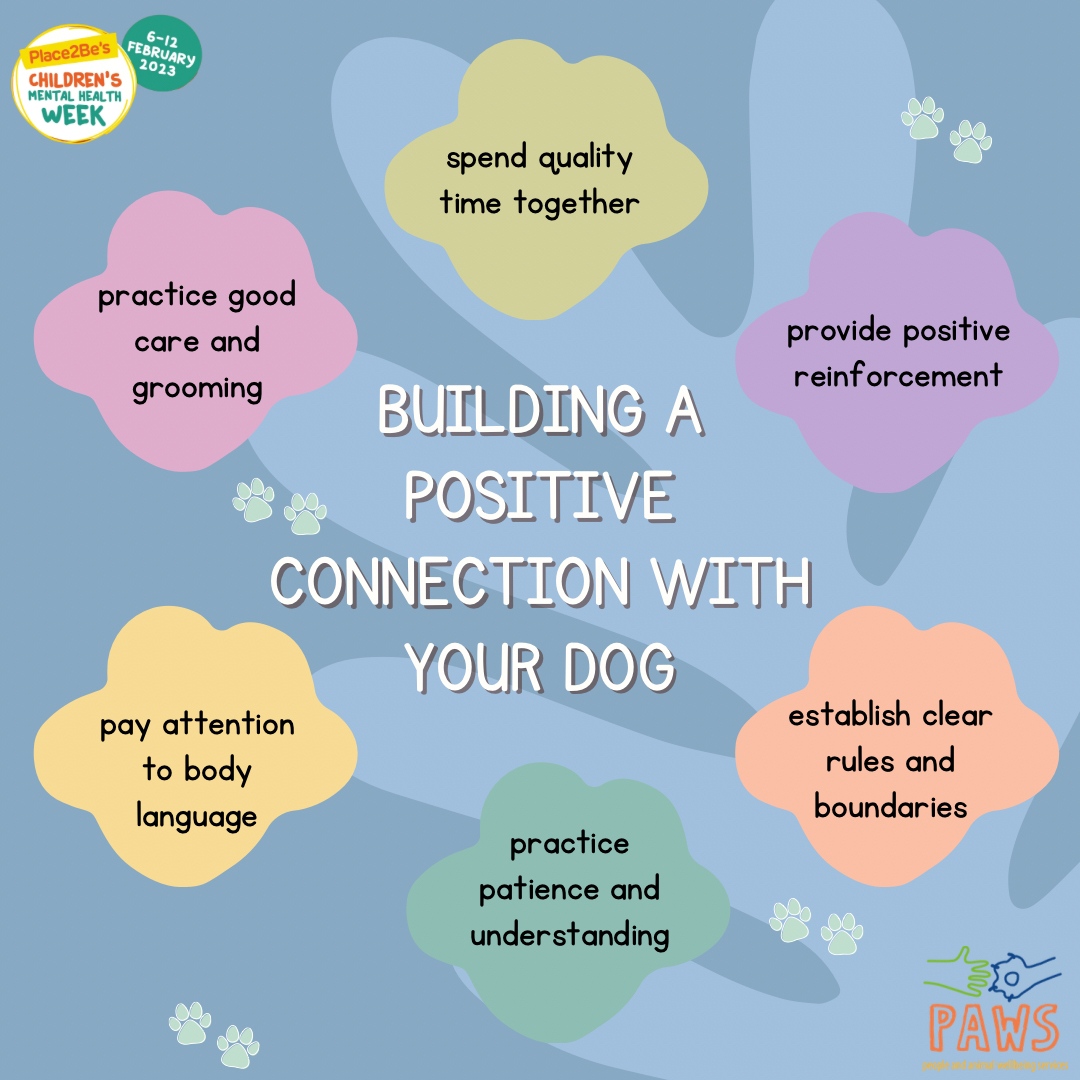 Connections with your family, friends, colleagues, peers are so important, but don’t forget your furry friends! 

Here are some tips on building positive connections with your dog!

#childrensmentalhealthweek #schooldog #animaltherapy #counsellors #educators #neurodivergence