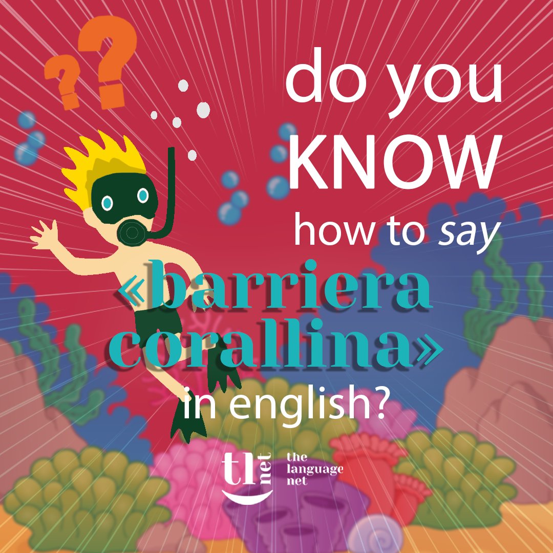 tlnet_training's tweet photo. Sai come dire #BarrieraCorallina in #inglese? 👉 Per imparare di più follow IG: @tlnet_training⁣⁣⁣⁣⁣⁣⁣⁣⁣⁣⁣⁣⁣⁣⁣⁣⁣⁣⁣⁣⁣
⁣⁣⁣⁣⁣⁣
#languagelearning #bilingualistop https://t.co/uLxDwj6BAv
