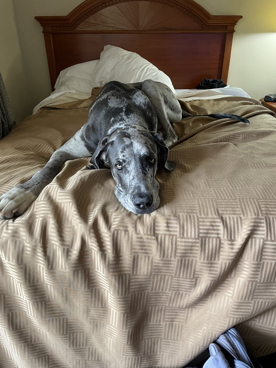 1 race down and he is already exhausted!