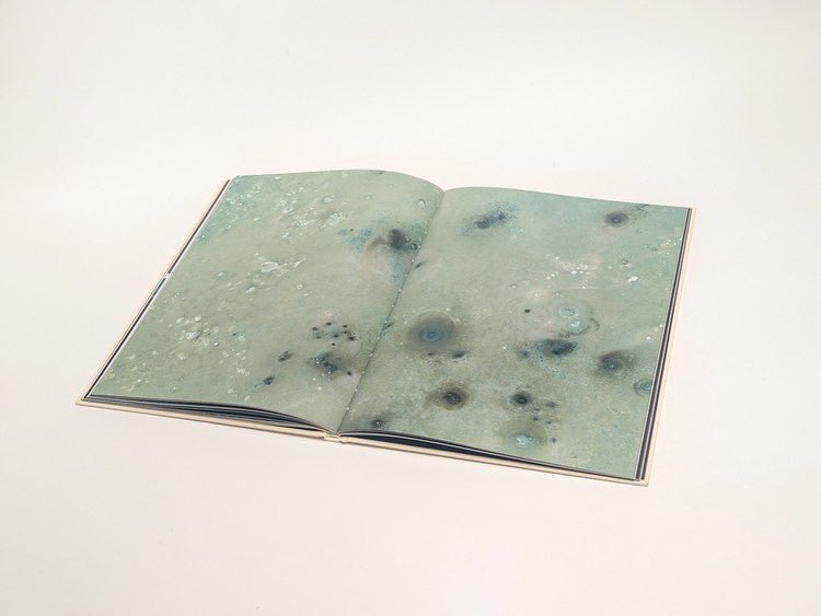 ViglinoMirko's tweet photo. I am really happy to share some spreads from my book “Map to the Star” a personal story I’ve dropped with @QuantumNFT . My collectors will receive the limited edition for free. Thank you for supporting me. #nft @justinaversano @punk6529 https://t.co/84bWEm1riO