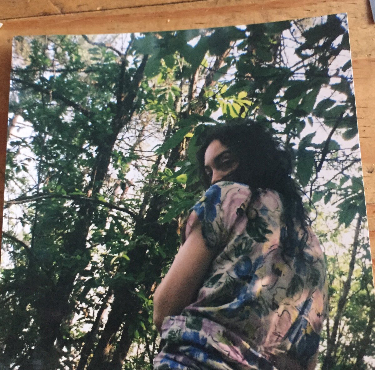ms_clara_tracey's tweet photo. A day for dreaming of summer in french forests #brokenboiler #firelit https://t.co/C7JuXGOUoo