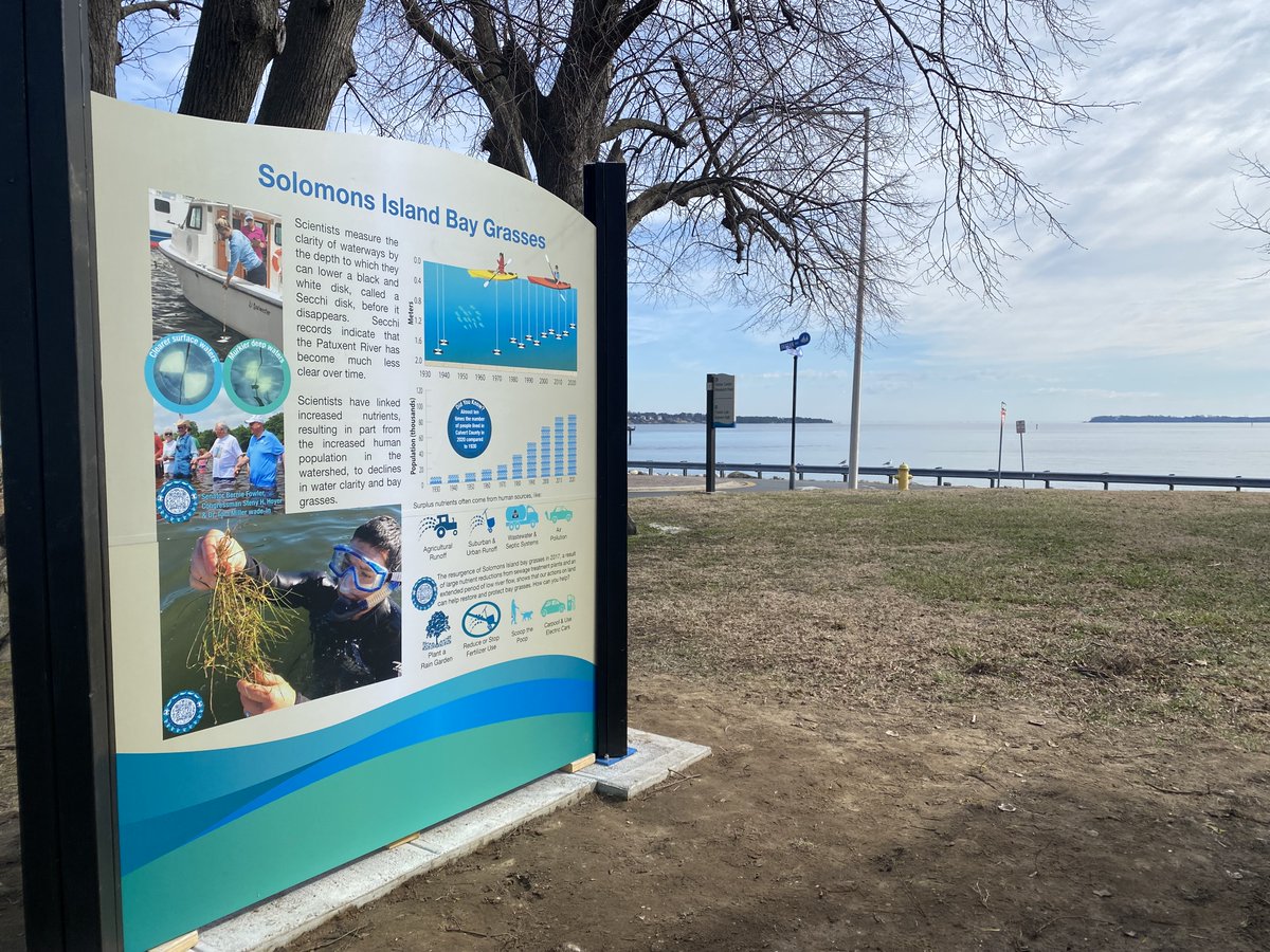 Drop by the <a href="/UMCES/">UMCES</a> Chesapeake Biological Lab campus to see our new sign about the decline of bay grasses around #SolomonsIsland!

#ChesBay #ChesapeakeBay #BayGrasses #Environment