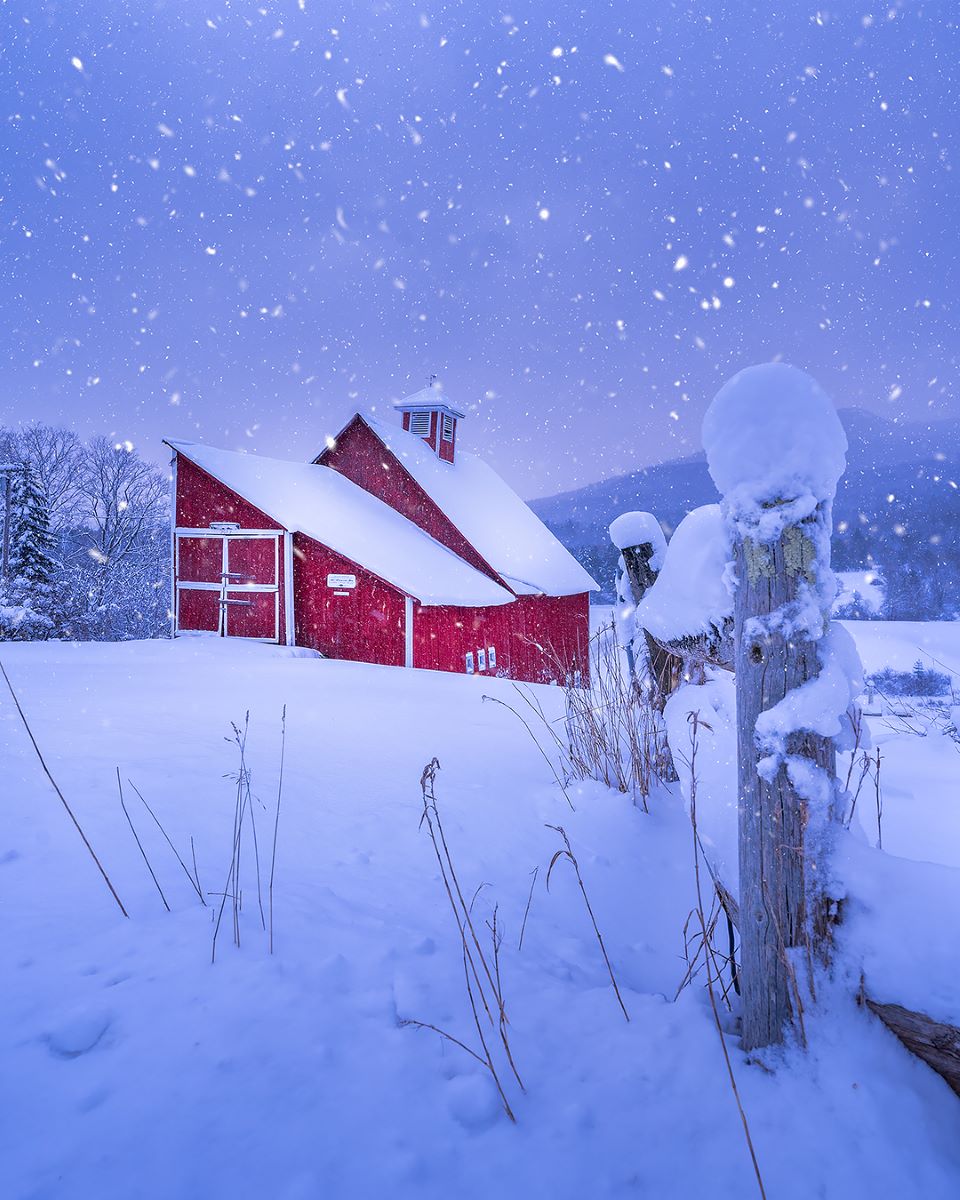 gostowe's tweet photo. One of our favorite winter scenes of the iconic Grandview Barn.
(Photo by Mark Vandenberg) #barnsofinstagram #stowescenes #gostowe #stowe #stowevt #stowevermont #vermont #vt #thisisvt #itstimeforvermont #snowinstowe https://t.co/gAc9fBJzhH