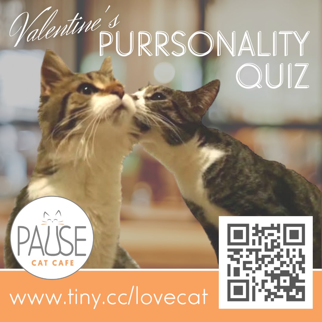 Are you more Catsanova or  Lion’el Richie? Take our fun quiz to find out your Valentine's purrsonality tiny.cc/lovecat ❤️ #Cat #CuteCats #CatQuiz #FelineInLove #Valentine #ValentinesDay #ValentinesDay2023 #Bournemouth #RescueCats  #ThingsToDoInBournemouth #Dorset