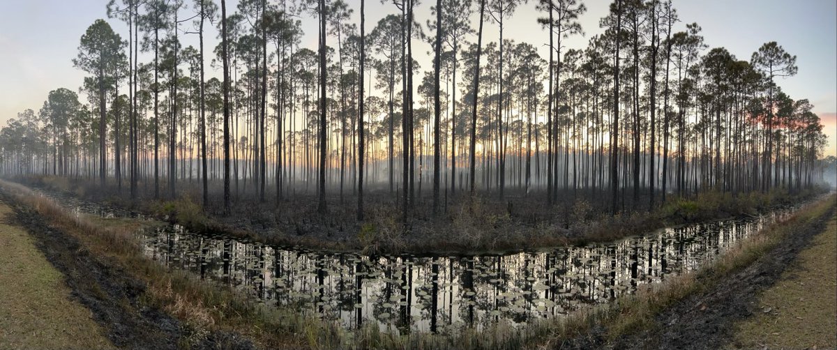 USFWS Fire on Twitter: "After a long #RxBurn day in the field, this