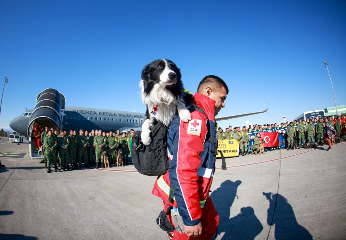 CruzRoja_MX's tweet photo. ¡Listos para esta misión !🇲🇽🇹🇷

Nuestros especialistas en búsqueda y rescate con la compañía de nuestros caninos #July, #Orly, #Balam y #Rex ya se encuentran en #Turquía preparándose para ayudar.   

#AyudarNosMueve 🐕‍🦺 https://t.co/E5eQ1eRJju