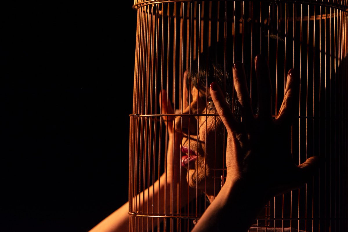 jenheyes's tweet photo. HOMEmcr tomorrow David Hoyle is HEDDA (after Ibsen) created and directed by Jen Heyes - meet David and Jen after the film for a Q&amp;A #HOMEmcr    image Sarah Hickson https://t.co/x5xxZcCJea