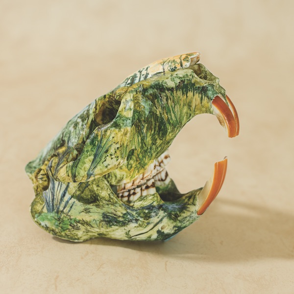 Western Confluence tweet media