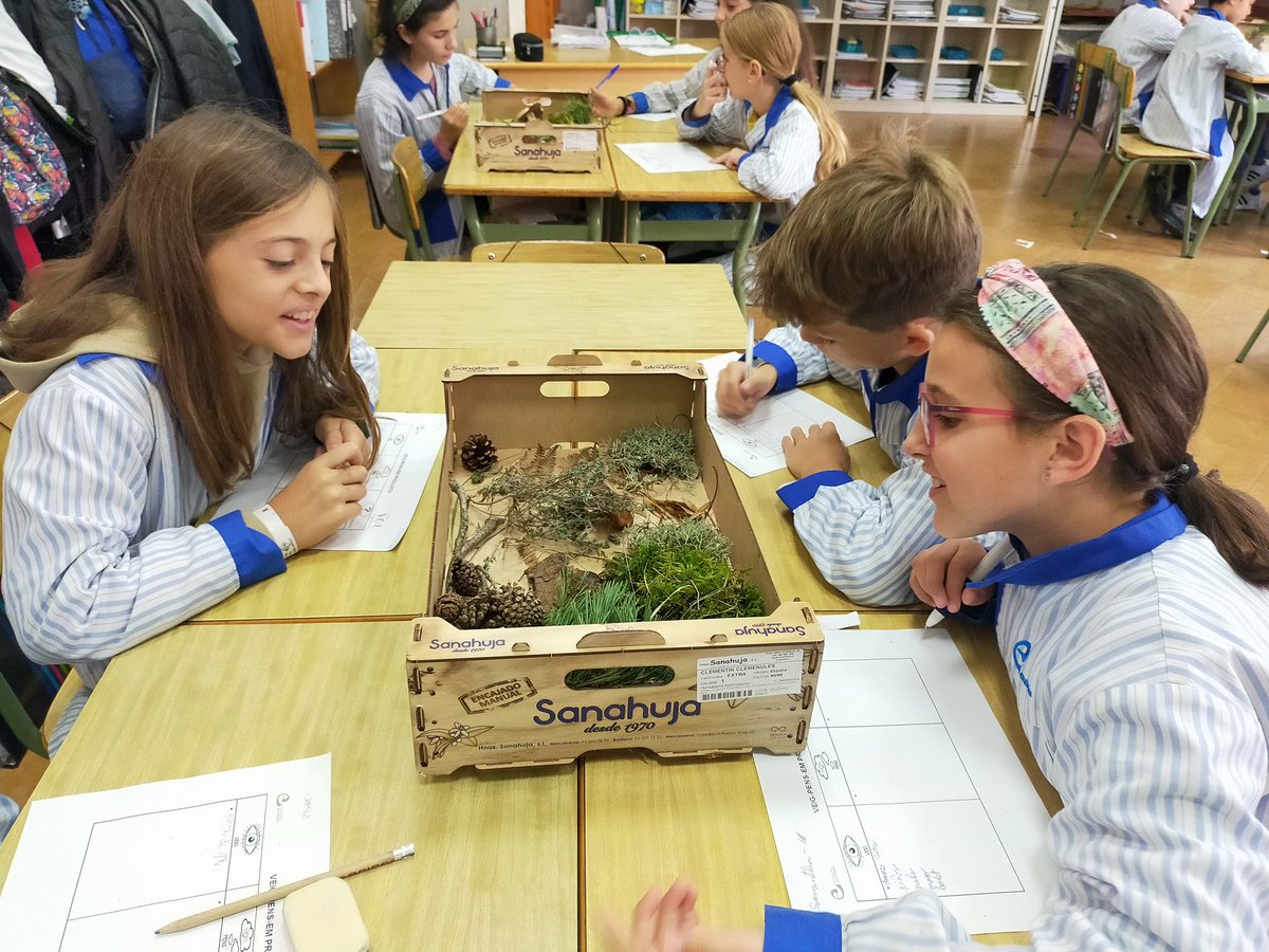 EscolapiesLL's tweet photo. Tastet del bosc…
Els alumnes de cinquè hem fet un reconeixement d'elements que podem trobar al bosc. Ho hem treballat a partir de les #rutinesdepensament: #veigpensoempregunto…
#projectevol #educacioprimaria #naturalscience #escolapieslluria #curs20222023 #atreveixteacaminar https://t.co/XRkCUyrij5