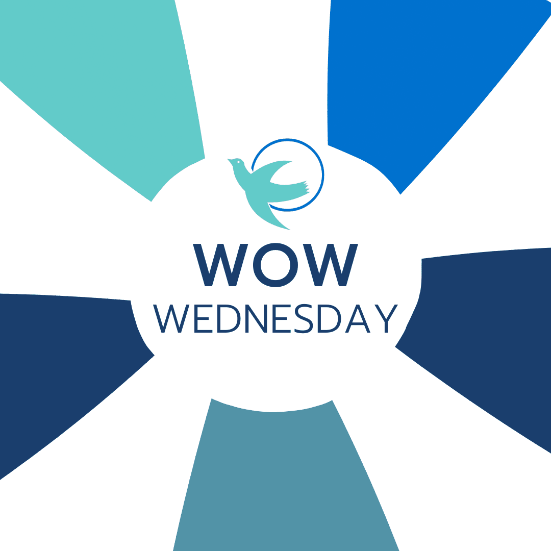 ⭐ ⭐ ⭐ ⭐ ⭐  Rose and her team are #amazing at what they do. Using their servant’s heart mentality with every interaction! ❤️  #WOWWednesday #visitingangels #effinghamIL #seniorcare