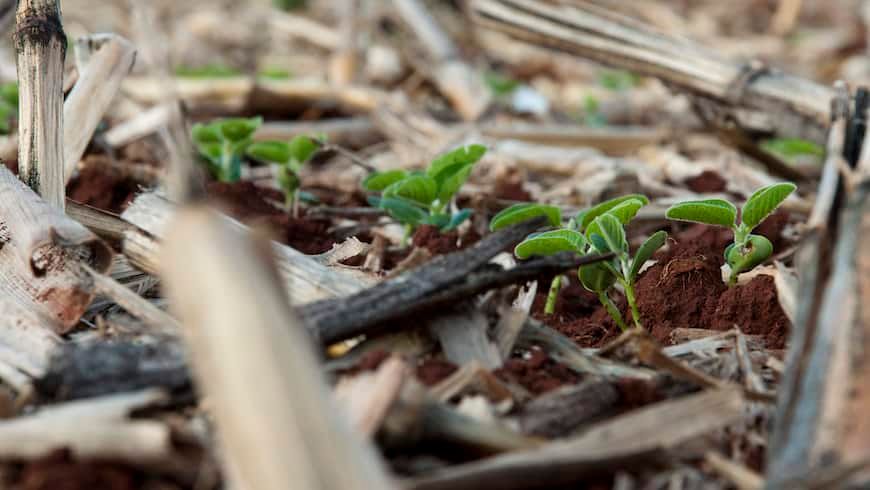 NextBillion tweet media