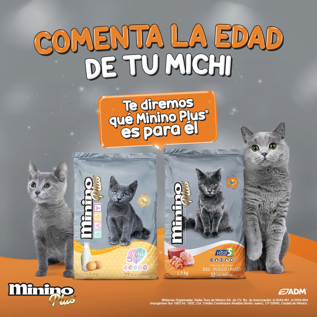 ¡Servicio a la comunidad Minino Lover! 😸 Cuéntanos qué edad tiene tu minino y te diremos cuál versión de Minino Plus® es purrrfecta para él 🧡

Conoce nuestra familia de productos bit.ly/3XnRL1C