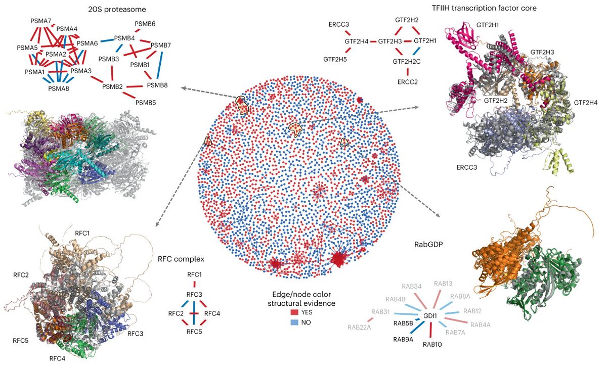 nanome_inc's tweet photo. What do we know about the #interactome? Not too much, ~5% protein interactions are characterized. Can #ProteinPrediction fill the gap? Scientists at @Stockholm_Uni @ETH tested #AlphaFold2 to predict structures for 65,484 protein interactions. @NatureSMB https://t.co/8dGRrtjgtg https://t.co/KBfBZXecRq
