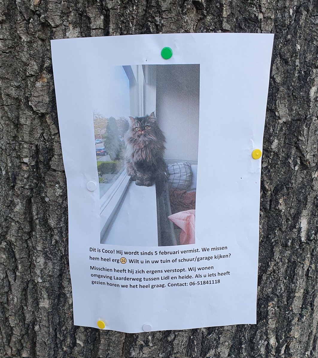 widtvoet's tweet image. Omgeving Naarden - Bussum.