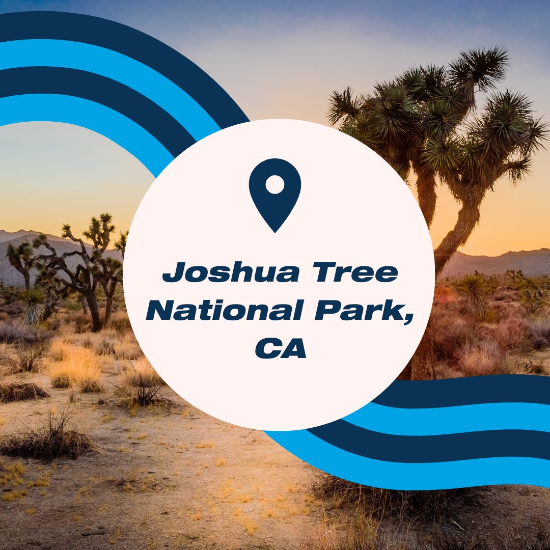 Top Bucket list destinations that you won't believe are in the US! 
📍Big Sur, CA
📍Key West, FL 
📍Great Sand Dunes National Park, CO
📍Joshua Tree National Park, CA 
📍Nantucket Island, ME 

Visit priorityjet.net/charter to request your charter today!