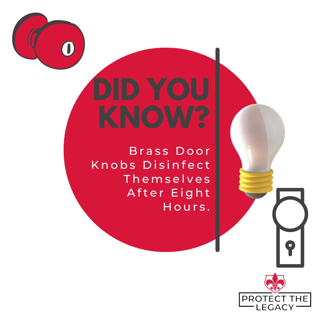 RollandSolution's tweet photo. Brass door handles implement the Oligodynamic effect. This means that the metal ions present have a toxic effect on living cells, algae, molds etc. 

#protectthelegacy #security #securitysolutions #doorhardware #didyouknow https://t.co/Y1uPbh9KuP