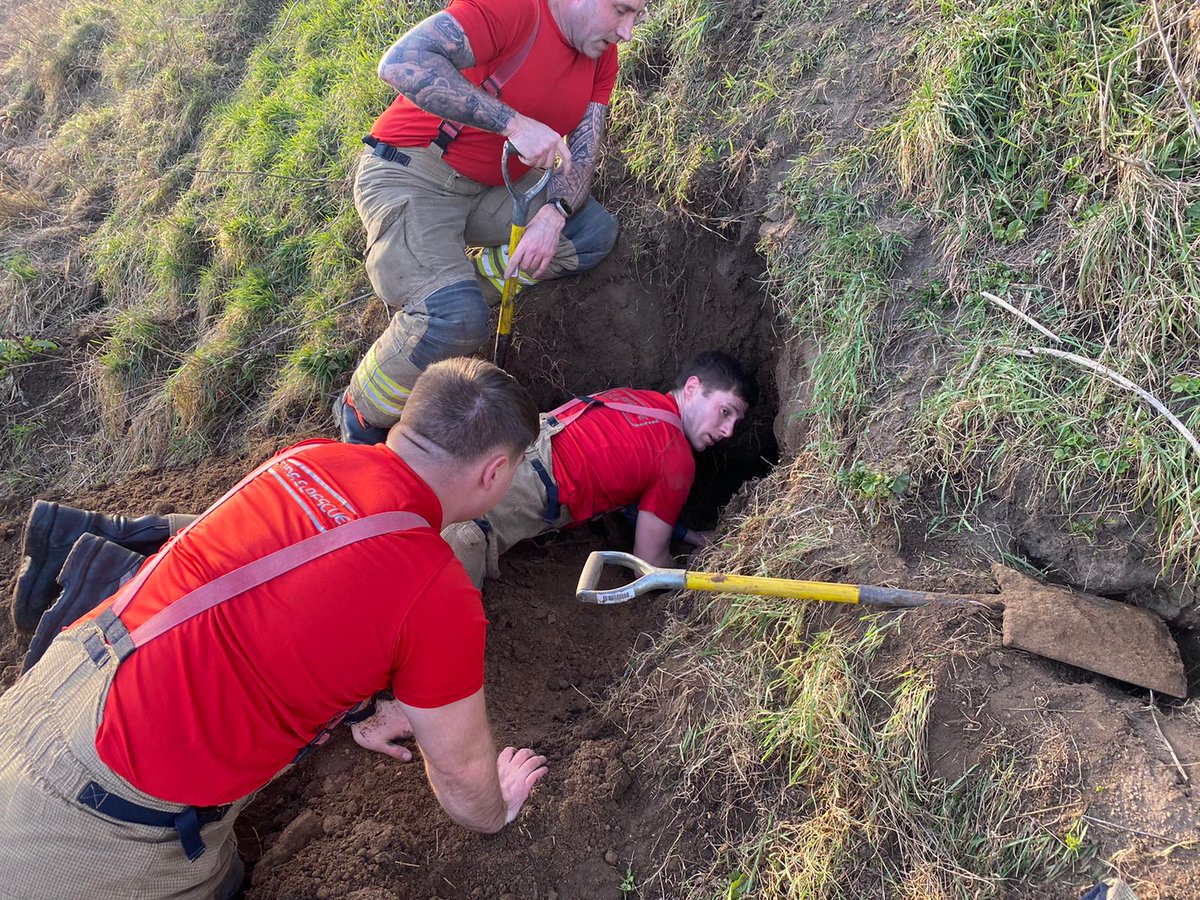 LouthFire's tweet photo. Something a little different today for @LouthFire crews. Poor old Buddy got himself in a bit of a pickle but after a bit of assistance he was reunited with his owner. It's not just fires 🐕🚒 https://t.co/FLY9Qkuqh3