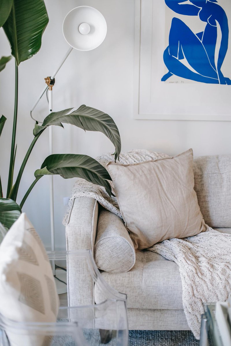 ntorres_Sutton's tweet photo. Everyone has their "spot" at home, whether it is dad's lounge chair or the corner of the sectional. 

What does your spot look like at home? https://t.co/Hw6lxf0Pdl https://t.co/e32REzFJAw