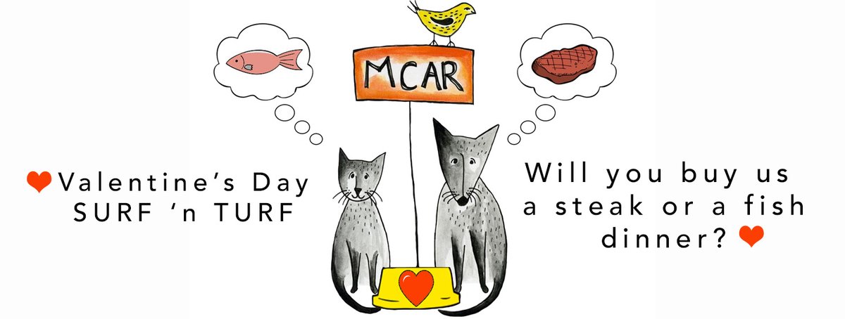 MCAR828's tweet photo. Love is in the air!! Help us spoil our furbabes on Valentines day with a special "feast". Donate now at https://t.co/cdOryKfEAq to provide steak, fish, and all the fixings for a shelter pet. Join us live on our Facebook page at noon on Tuesday the 14th to watch our pets feast! https://t.co/Xmz8DTKCDI