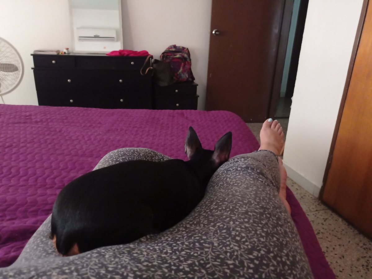 MayoriRoa's tweet photo. Ella se convirtió en mi melatonina y mi fiel compañera de vída https://t.co/JpSTwc2JXU
