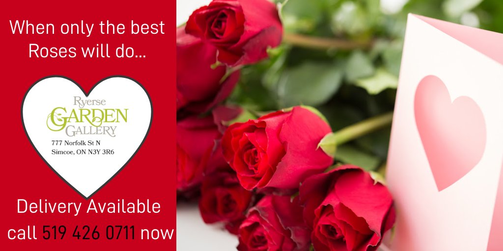 Top quality roses for your Valentine😍 Book your delivery early!  Add some tasty chocolates, balloons and a sweet plush for the best Valentine's gift!
#flowershop #haldimandnorfolk  #valentineroses #valentinesdaygift  #valentinesgift