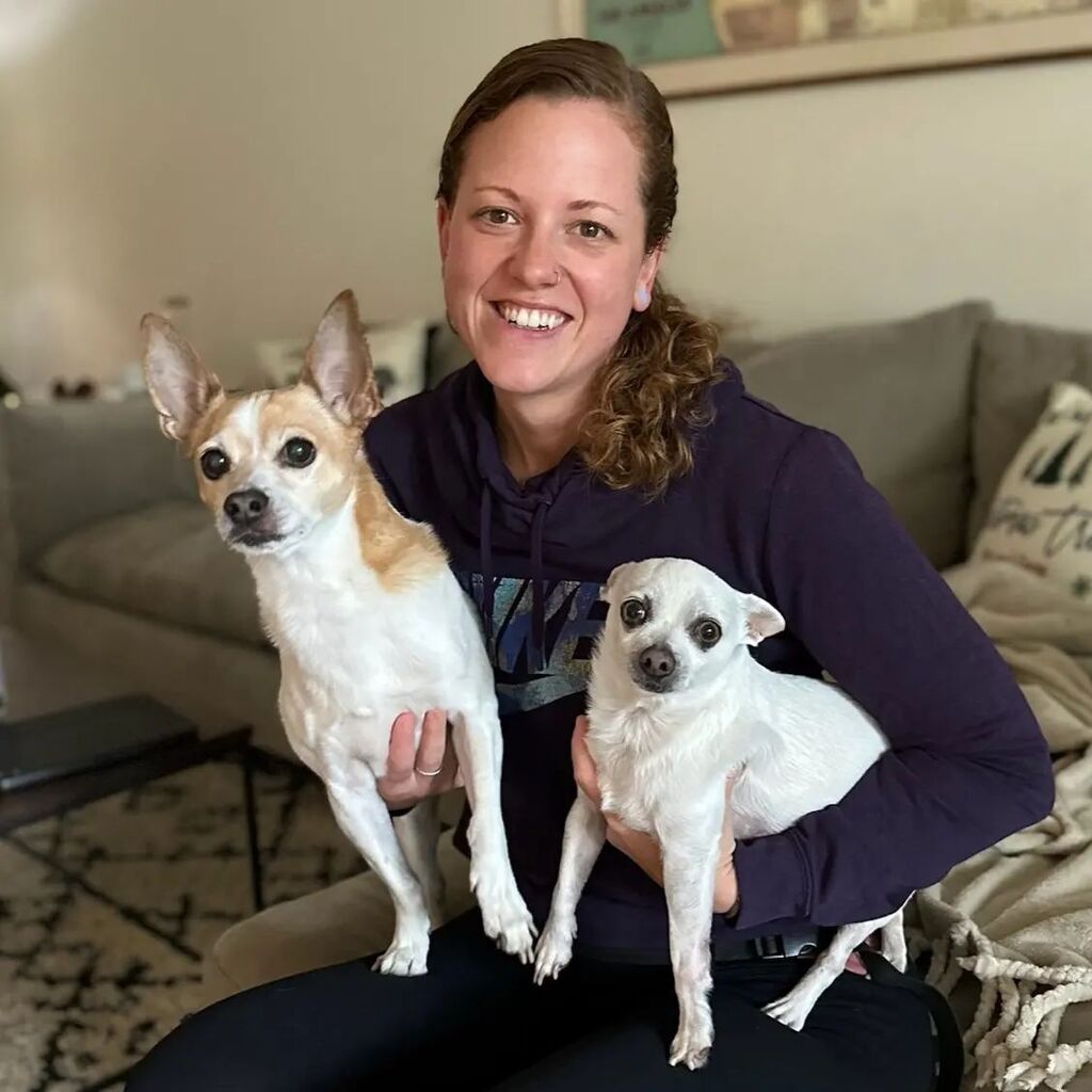 ThePetProvider's tweet photo. The Pet Provider is officially closed! After almost 6 amazing years, it's time to move on. I cannot thank my wonderful, sweet, caring, thoughtful, generous clients enough for EVERYTHING  you've done for me over the course of my first business venture. I … https://t.co/11GA04GitM https://t.co/zeO4LSp5YC